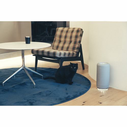 カドー 除菌脱臭器 SAP-003-WH ホワイト系