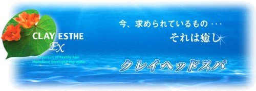 Qoo10最安値挑戦 モルトベーネ クレイエステシャンプーEX クレイエステパックEX 1000ml詰替空ポンプ4点セット Qoo10最安値挑戦 モルトベーネ クレイエステシャンプーEX クレイエステパックEX 1000ml詰替空ポンプ4点セット