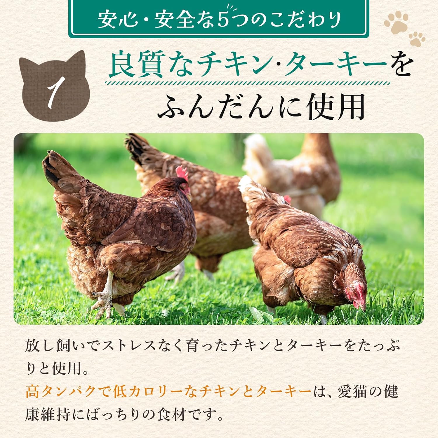 アランズ ナチュラル キャットフード チキン&ターキー(1.5kg)全猫種 全年齢 対応 グレインフリー【着色料・香料不使用】NCF アランズ ナチュラル キャットフード チキン&ターキー(1.5kg)全猫種 全年齢 対応 グレインフリー【着色料・香料不使用】NCF