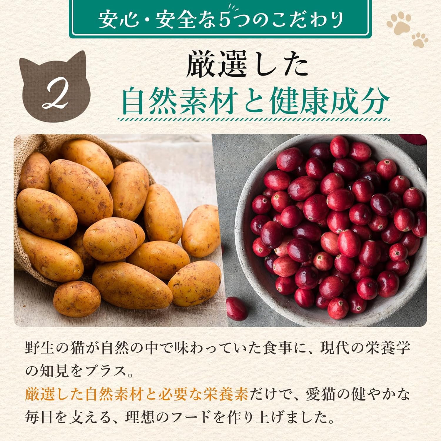 アランズ ナチュラル キャットフード チキン&ターキー(1.5kg)全猫種 全年齢 対応 グレインフリー【着色料・香料不使用】NCF アランズ ナチュラル キャットフード チキン&ターキー(1.5kg)全猫種 全年齢 対応 グレインフリー【着色料・香料不使用】NCF