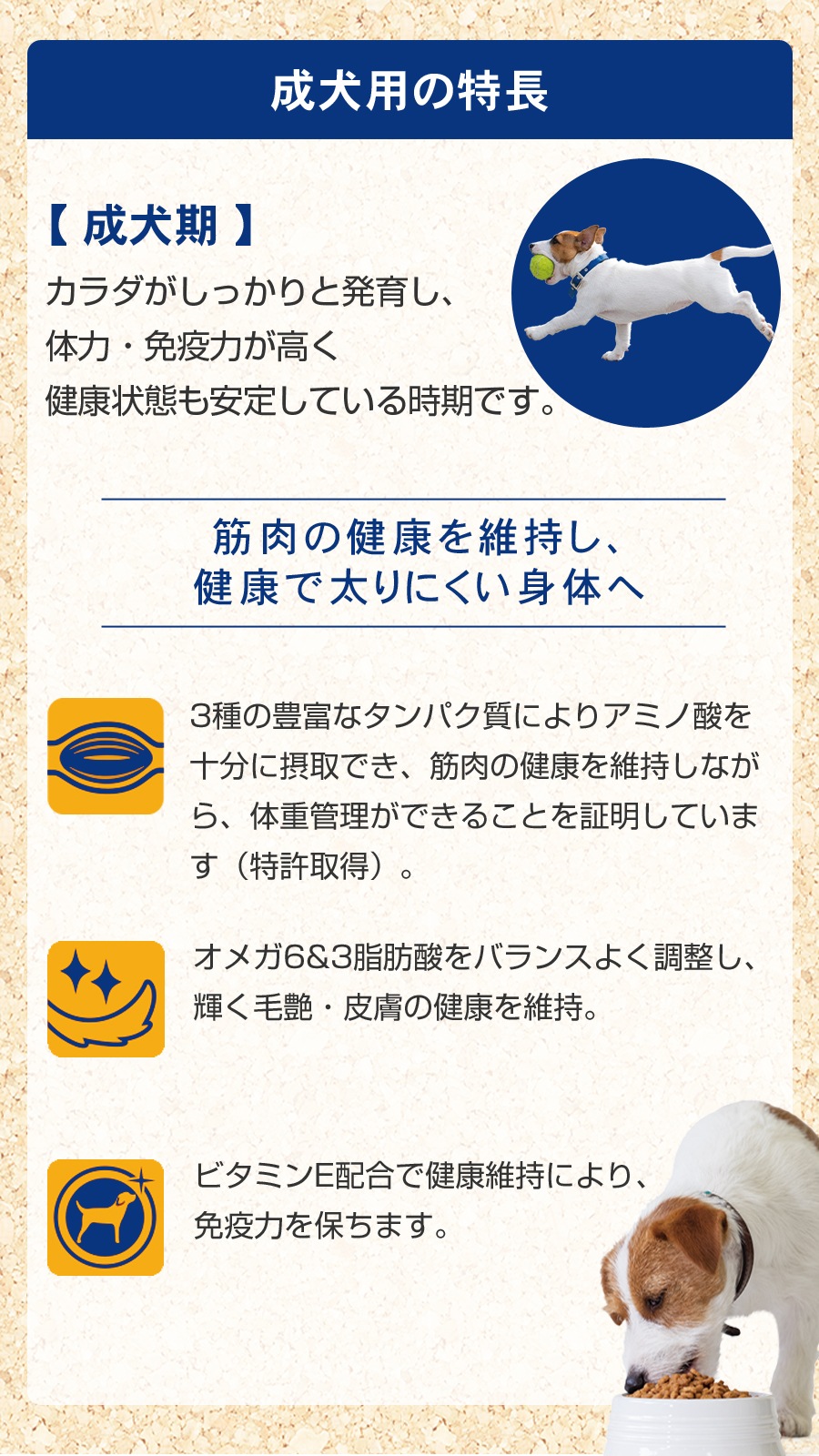 成犬用 ひざ関節の健康維持用 2kg【国産たじま鶏ジャーキー(小サイズ)付き】 成犬用 ひざ関節の健康維持用 2kg【国産たじま鶏ジャーキー(小サイズ)付き】
