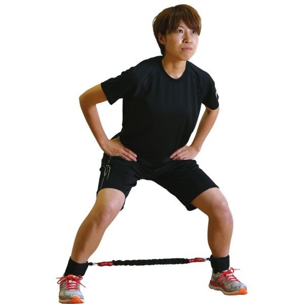 ニシスポーツ NISHI サイドステップ T7423A-960 ニシスポーツ NISHI サイドステップ T7423A-960