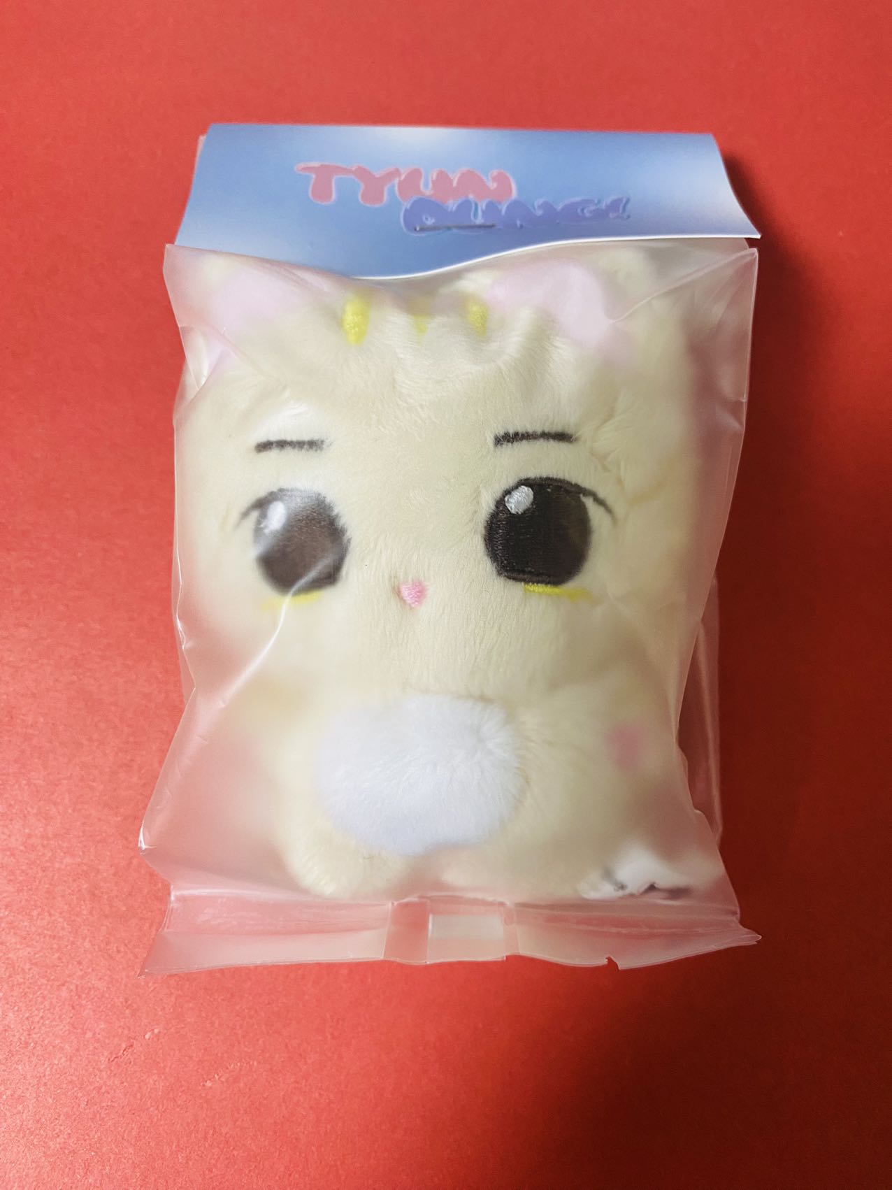 TXT テヒョン ペンカフェ マスターニム ぬいぐるみ 10cm カン