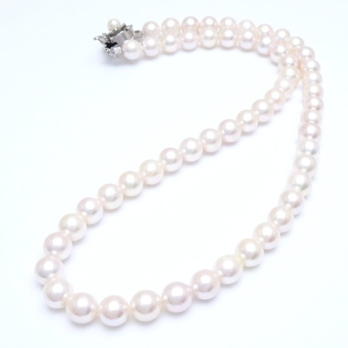 パール ネックレス 43.5cm あこや真珠7~7.5ミリ シルバー/74967【中古】 パール ネックレス 43.5cm あこや真珠7~7.5ミリ シルバー/74967【中古】