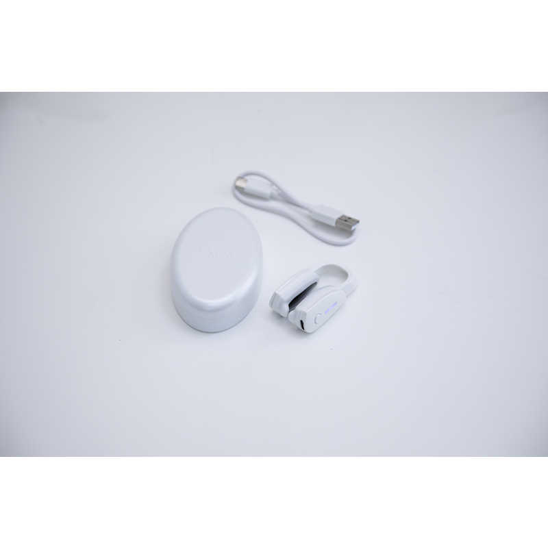 LUXCEAR　最新型 FornezPRO ［EMS美顔器 /国内・海外対応］　CS2420-0000-100