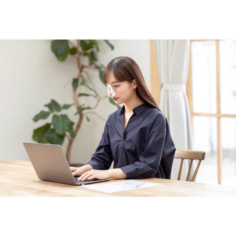 LUXCEAR　最新型 FornezPRO ［EMS美顔器 /国内・海外対応］　CS2420-0000-100