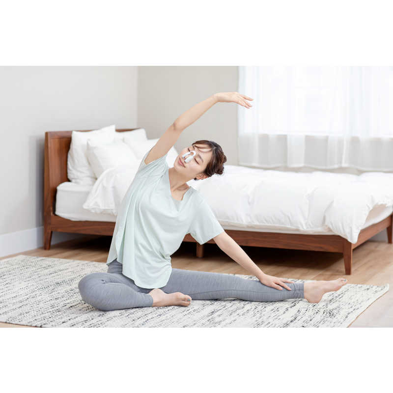 LUXCEAR　最新型 FornezPRO ［EMS美顔器 /国内・海外対応］　CS2420-0000-100