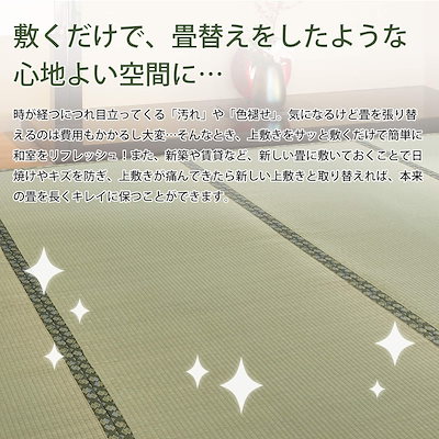 新作超歓迎 萩原 い草 国産 上敷き カーペット グ : 家具・インテリア 即納大特価