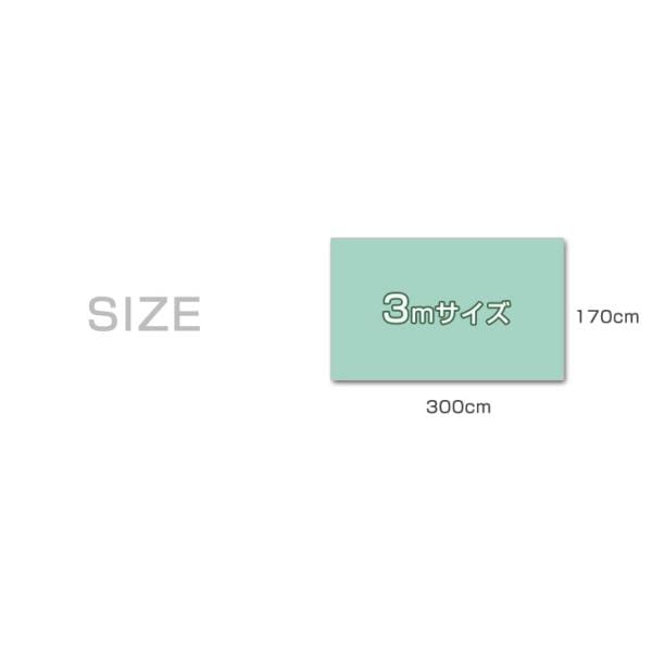 タープ テント 当店タープテント専用 3m サイドシートのみ 2枚セット 商品番号 19000010/19000014 /19000052/74100125 専用 サイドシート 単品 キャンプ