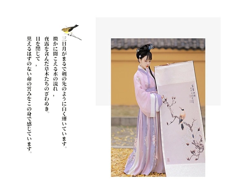 チャイナ風 中国風 中華服 漢服 普段着 チャイナドレス 2点セット ドレス 衣装 大人用 女の子 レディース 日常着 刺繍 唐服 春秋 冬 古代 コスプレ衣装 写真撮影 イベント 仙女 可愛い かわ