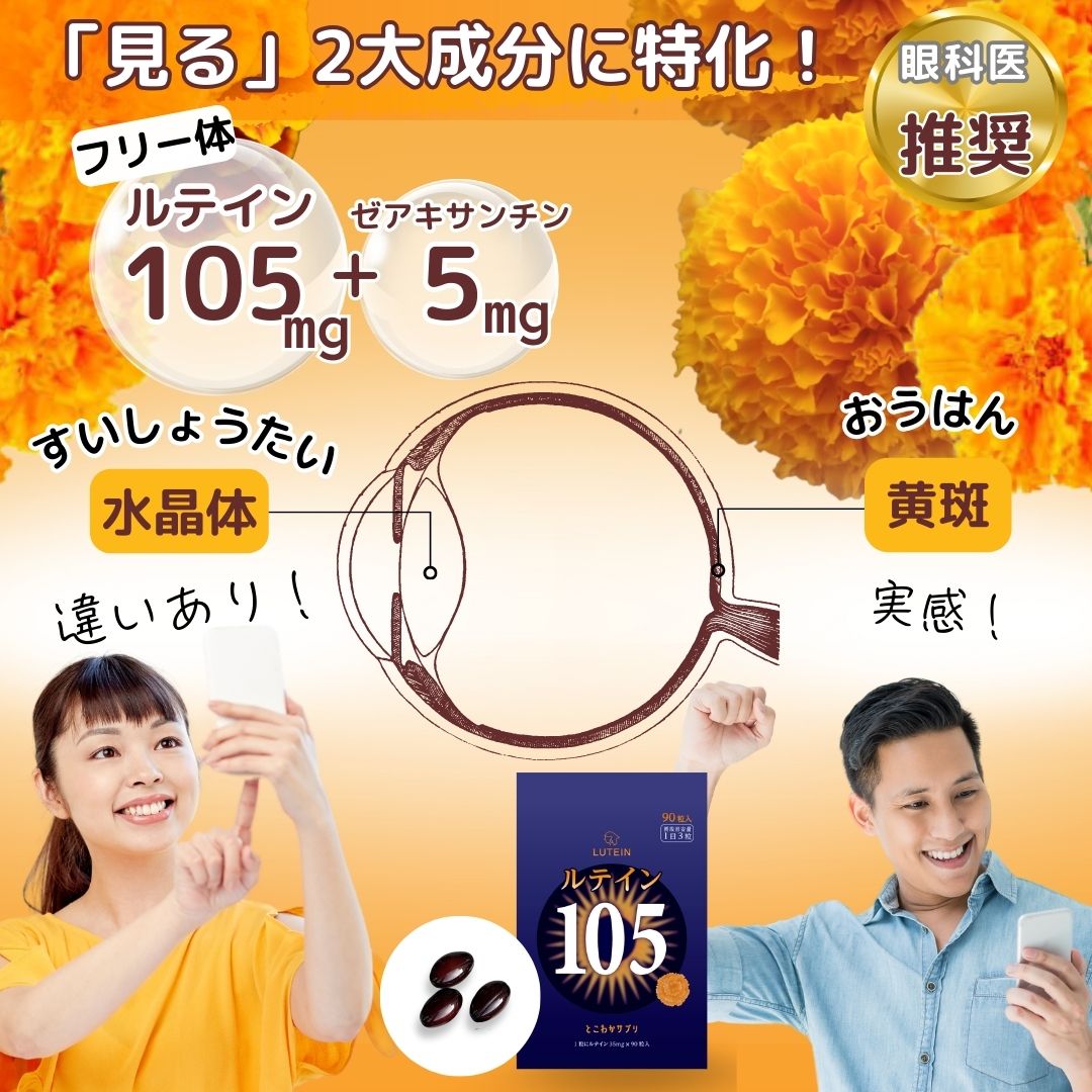 【10個セット】 ルテイン105mg 高濃度の安心 ゼアキサンチン5mg 1日3粒 90粒入 サプリ 3粒で105mg 1粒で35mg 目のケア 大容量 高コスパ 【見る】をサポート 【10個セット】 ルテイン105mg 高濃度の安心 ゼアキサンチン5mg 1日3粒 90粒入 サプリ 3粒で105mg 1粒で35mg 目のケア 大容量 高コスパ 【見る】をサポート