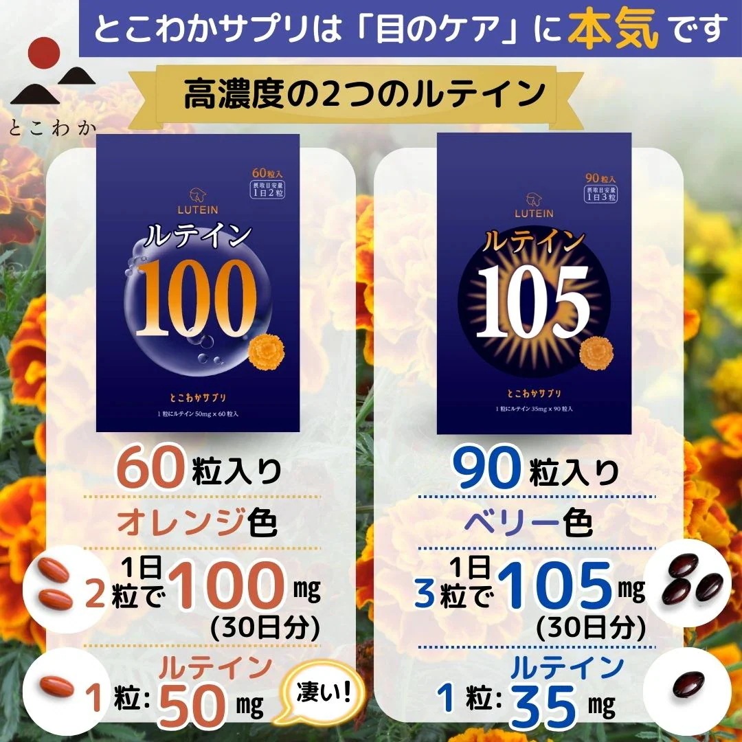 【10個セット】 ルテイン105mg 高濃度の安心 ゼアキサンチン5mg 1日3粒 90粒入 サプリ 3粒で105mg 1粒で35mg 目のケア 大容量 高コスパ 【見る】をサポート 【10個セット】 ルテイン105mg 高濃度の安心 ゼアキサンチン5mg 1日3粒 90粒入 サプリ 3粒で105mg 1粒で35mg 目のケア 大容量 高コスパ 【見る】をサポート