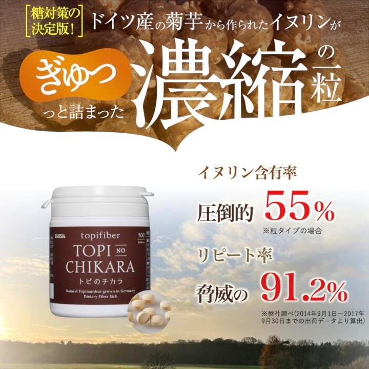 菊芋サプリ 【公式】 トピのチカラ1000粒 粒タイプ サプリメント イヌリン オーガニック 菊芋サプリ 【公式】 トピのチカラ1000粒 粒タイプ サプリメント イヌリン オーガニック