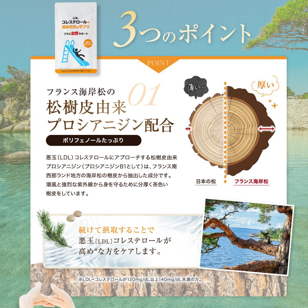 機能性表示食品 松樹皮由来 プロシアニジン 悪玉コレステロール 総コレステロール 中高年 健康食品 血中脂質 脂肪 血液 サプリメント LDLコレステロール が高めの方のサプリ コレステロール サプリ