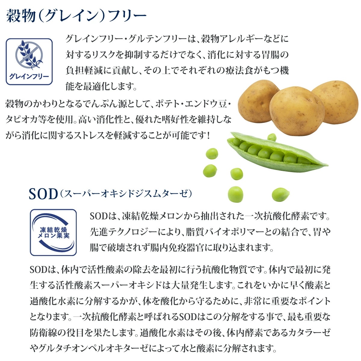 ベッツソリューション 肥満サポート2kg