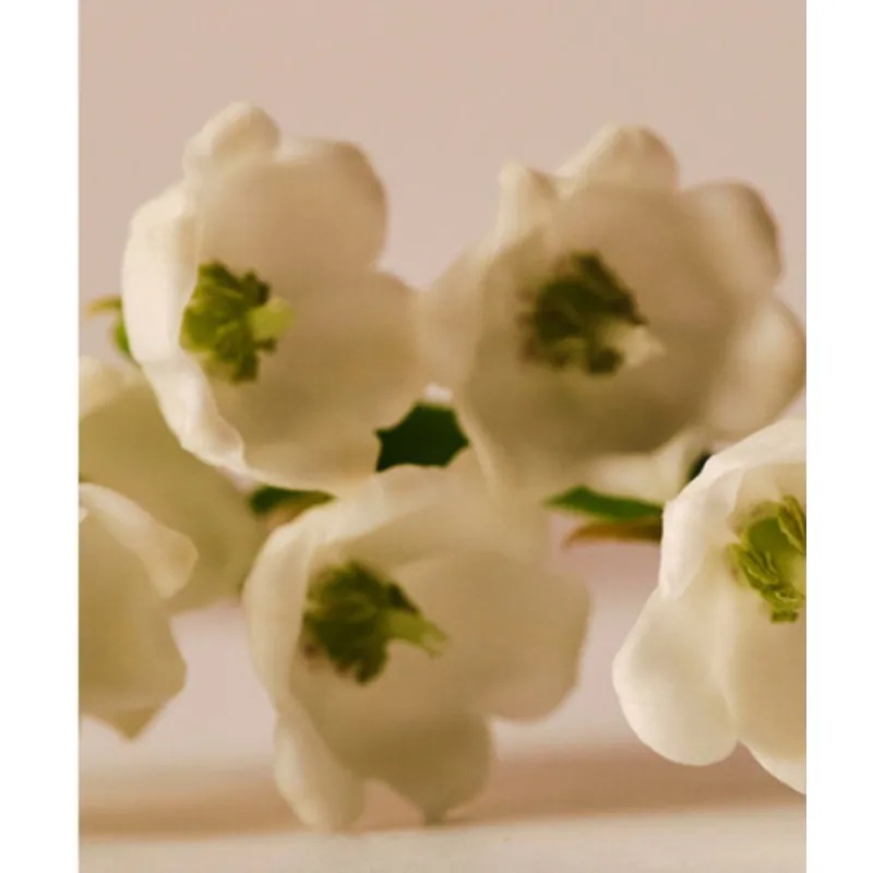 【正規品】バーニスニューヨーク センチエイジ ボディウォッシュ 300ml(body wash) 【正規品】バーニスニューヨーク センチエイジ ボディウォッシュ 300ml(body wash)