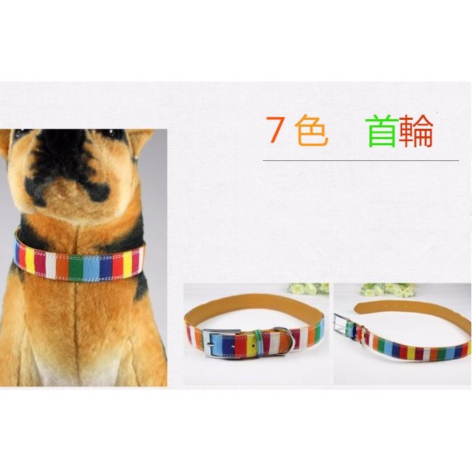 [急速出荷]犬用 首輪 ペットリード ２点セット 帆布七つ色 帆布＋レザー メール便対応1145124253