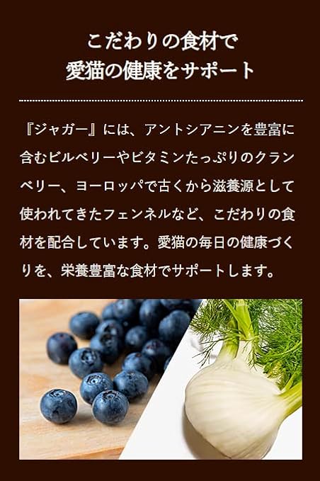 ジャガー キャットフード （1.5kg） 全猫種 全年齢対応 【着色料 香料不使用 動物性 原材料 約80％使用 グレインフリー】 JAGUAR JCF