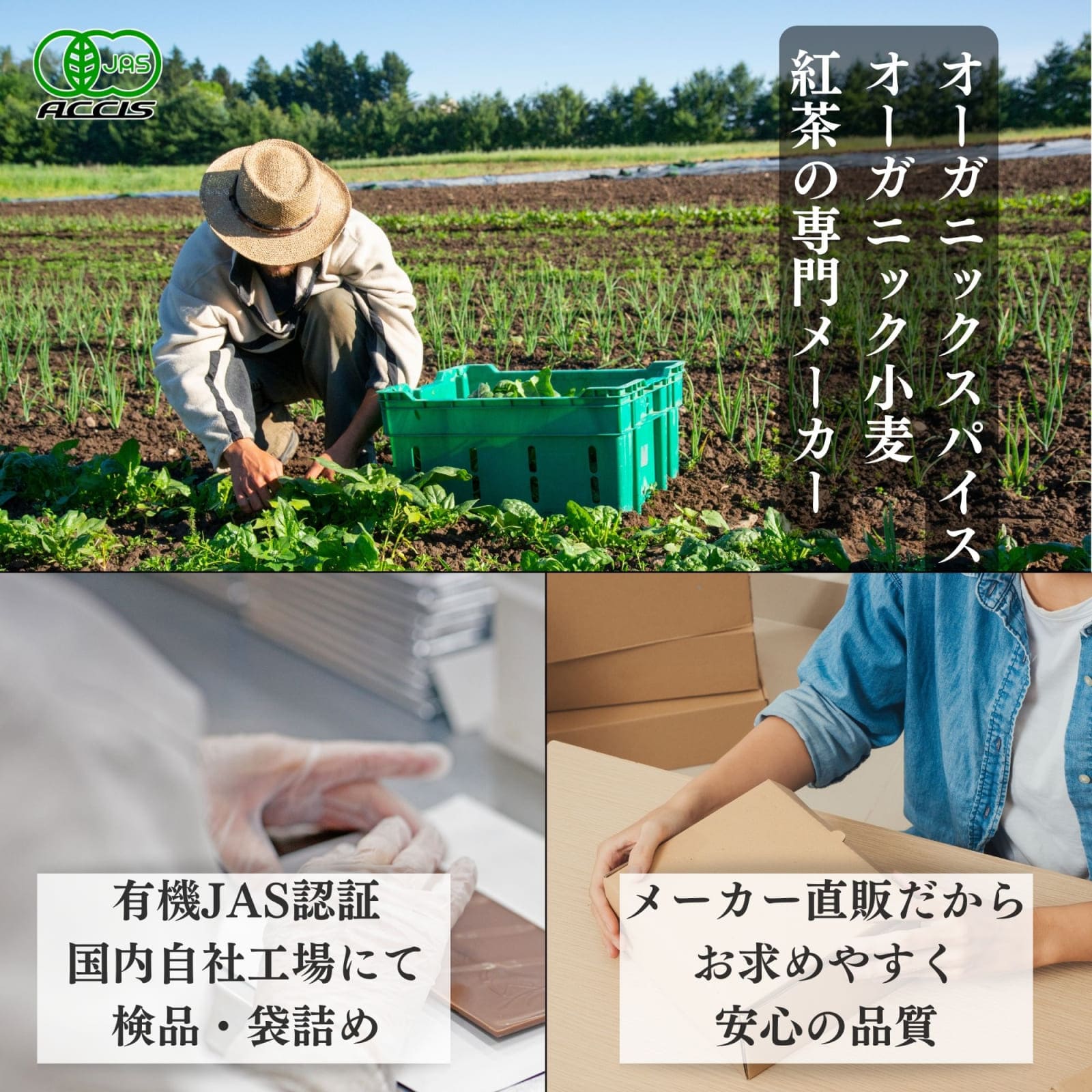 オーガニック セイロンシナモンパウダー 1kg (500gを2個) ( 業務用 ) 【有機JAS認証 / スリランカ産 セイロン シナモン 】 桂皮 ( オーガニック 無添加 無化学肥料 ) オーガニック セイロンシナモンパウダー 1kg (500gを2個) ( 業務用 ) 【有機JAS認証 / スリランカ産 セイロン シナモン 】 桂皮 ( オーガニック 無添加 無化学肥料 )