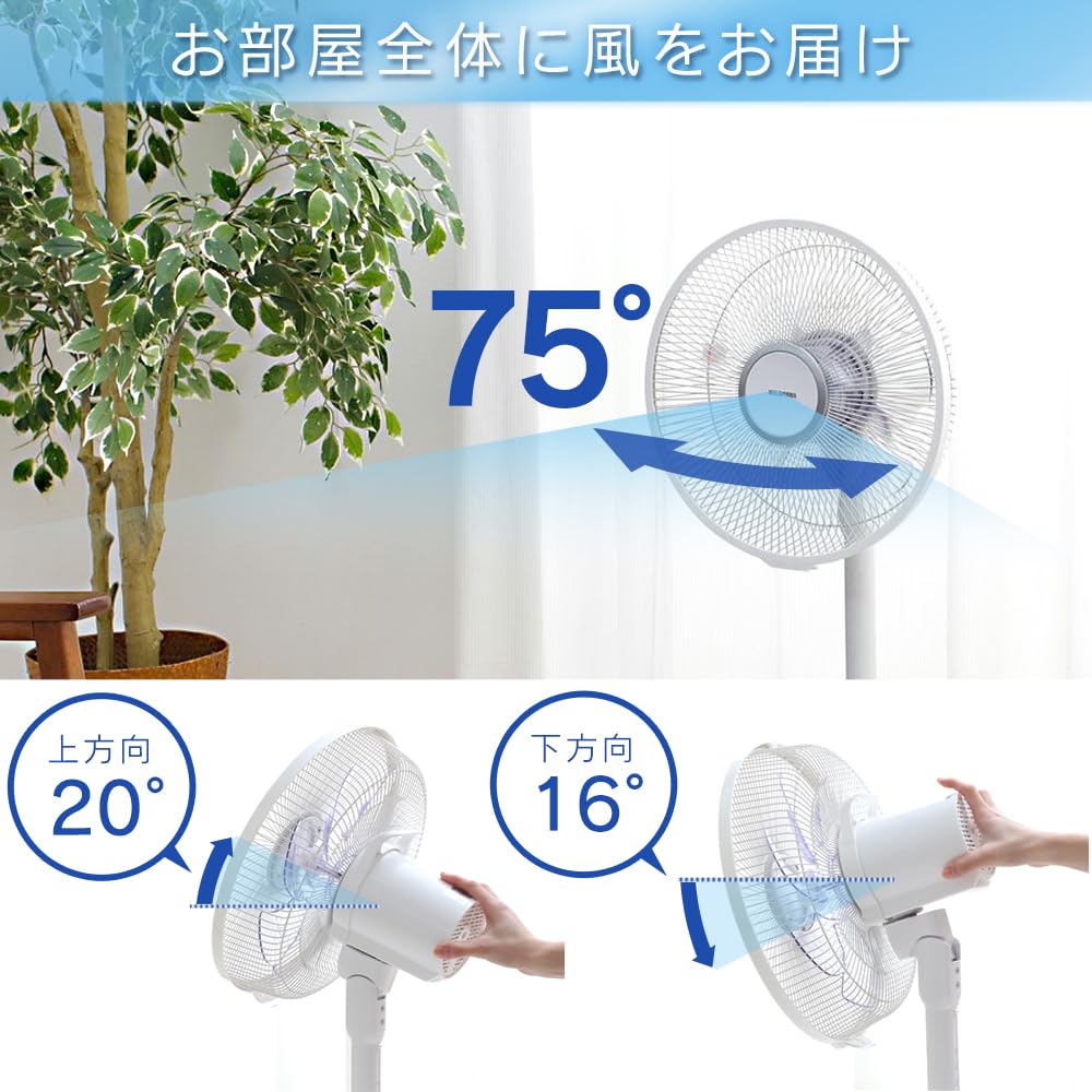 アイリスオーヤマ 扇風機 DCモーター 静音 タイマー付 リモコン付 首振り 7枚羽 ソフト気流 風量4段階 LFD-306L ホワイト