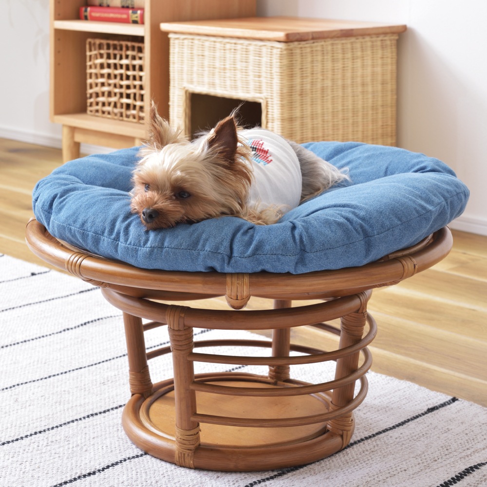 スツール ペット ペットハウス ねこ 犬 おしゃれ 円形 座布団 椅子 腰掛け ねこ用ベッド スツール ペット ペットハウス ねこ 犬 おしゃれ 円形 座布団 椅子 腰掛け ねこ用ベッド