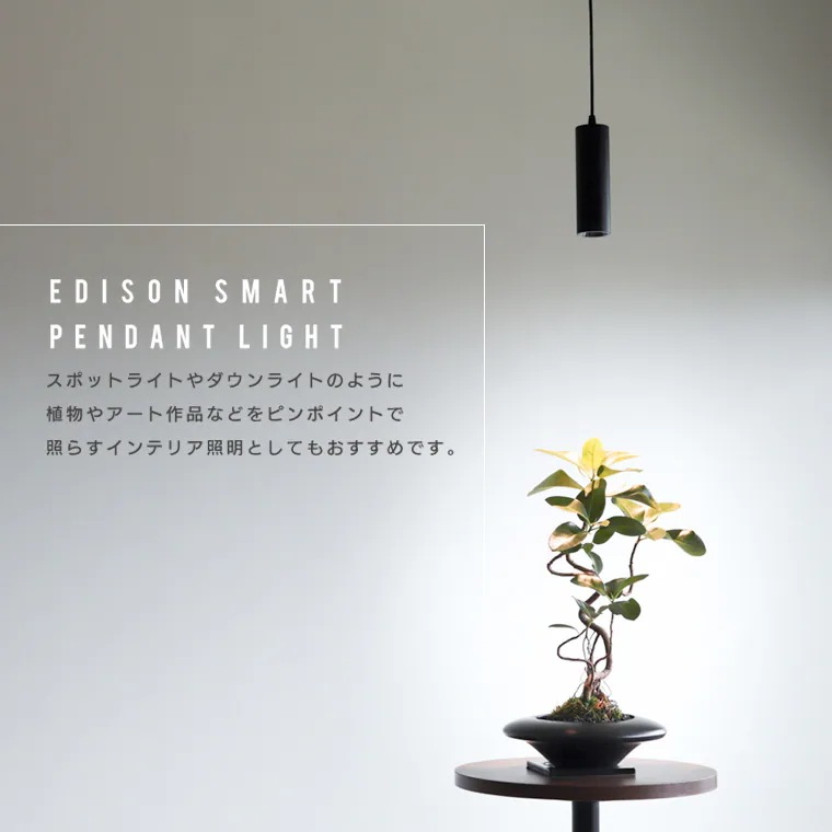 【2個セット】スマート ペンダントライト 引掛けシーリング用 エジソンスマート 吊下げ灯 照明器具 LED 節電 省エネ 円筒型 円柱 コード まとめる フランジカップ付き 丸型 小ぶり 細長い 調光