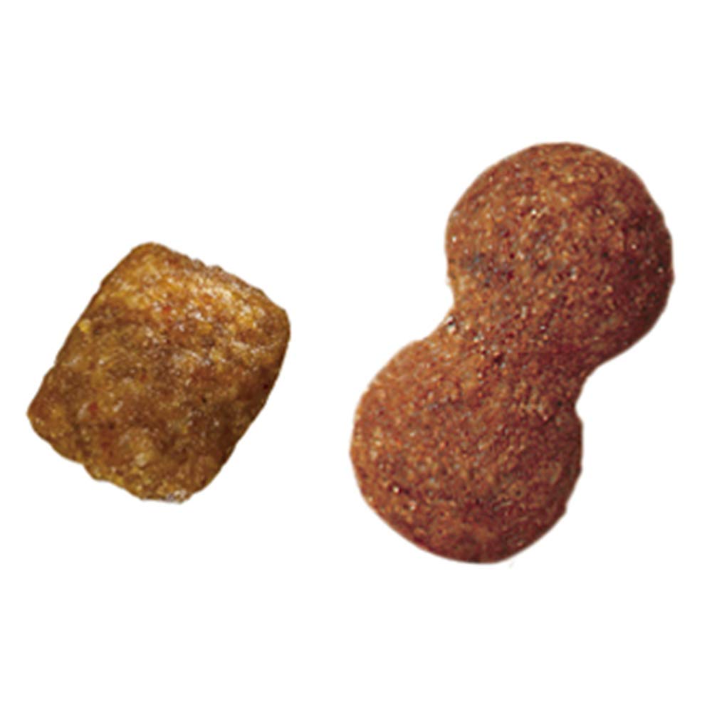 プロマネージ ドッグフード 犬種別 11歳からのミニチュアダックスフンド専用 4kg×3 (ケース販売) プロマネージ ドッグフード 犬種別 11歳からのミニチュアダックスフンド専用 4kg×3 (ケース販売)