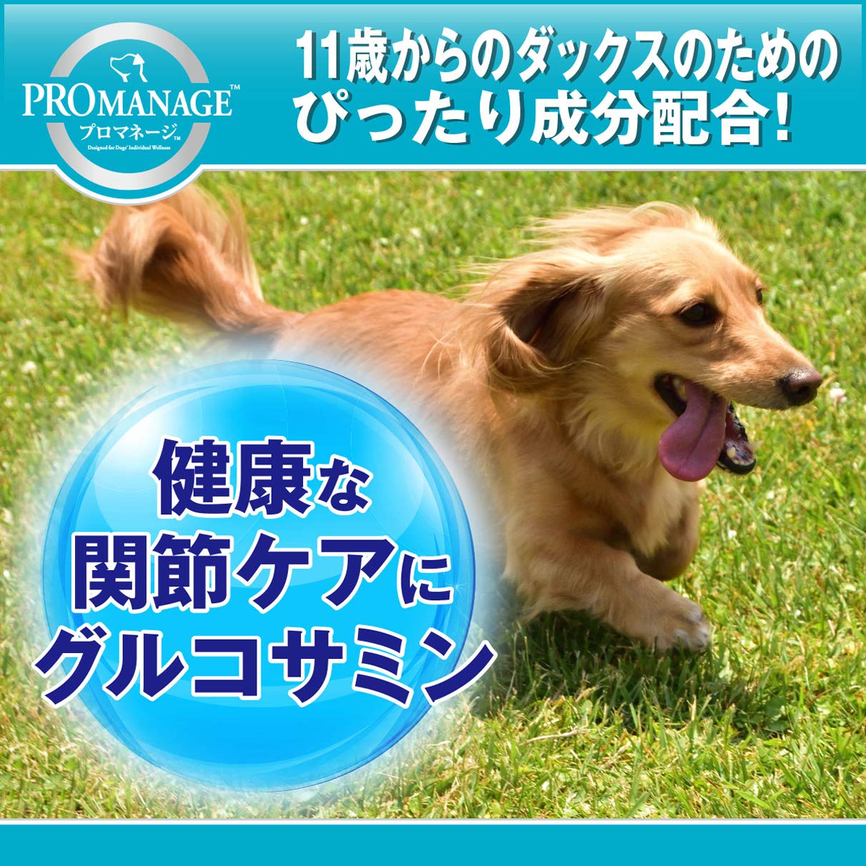 プロマネージ ドッグフード 犬種別 11歳からのミニチュアダックスフンド専用 4kg×3 (ケース販売) プロマネージ ドッグフード 犬種別 11歳からのミニチュアダックスフンド専用 4kg×3 (ケース販売)