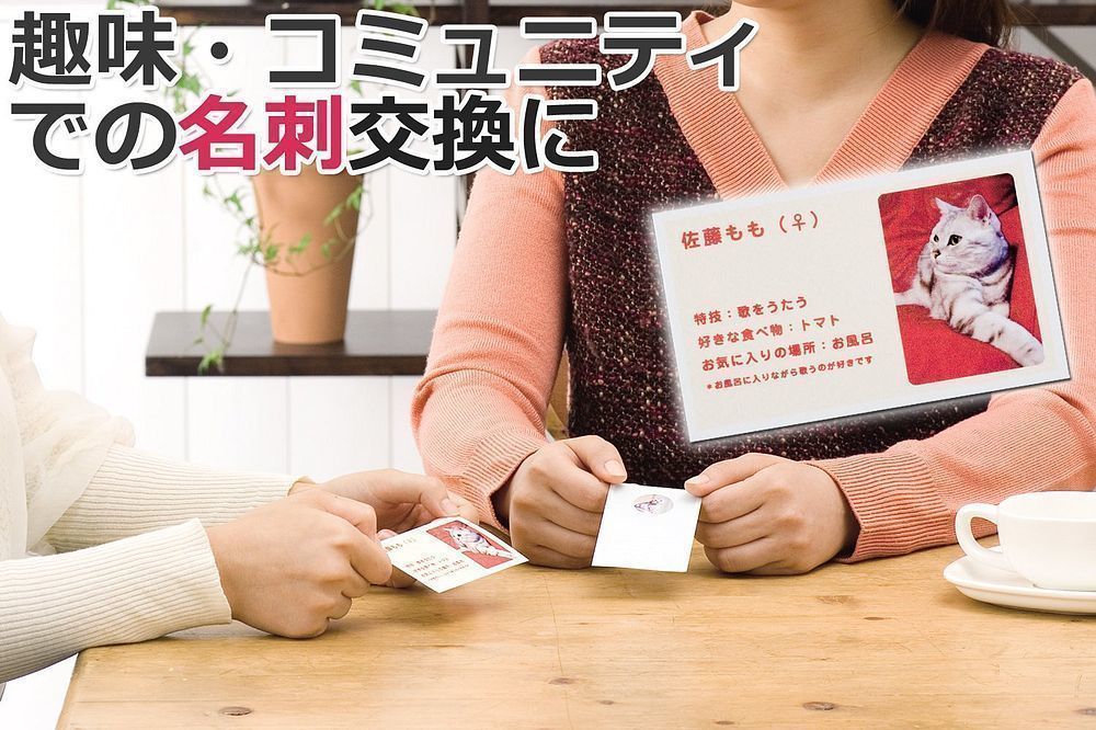 （まとめ買い）マルチカード 名刺 両面クリアエッジ アイボリー 500枚分 51822 [x3]