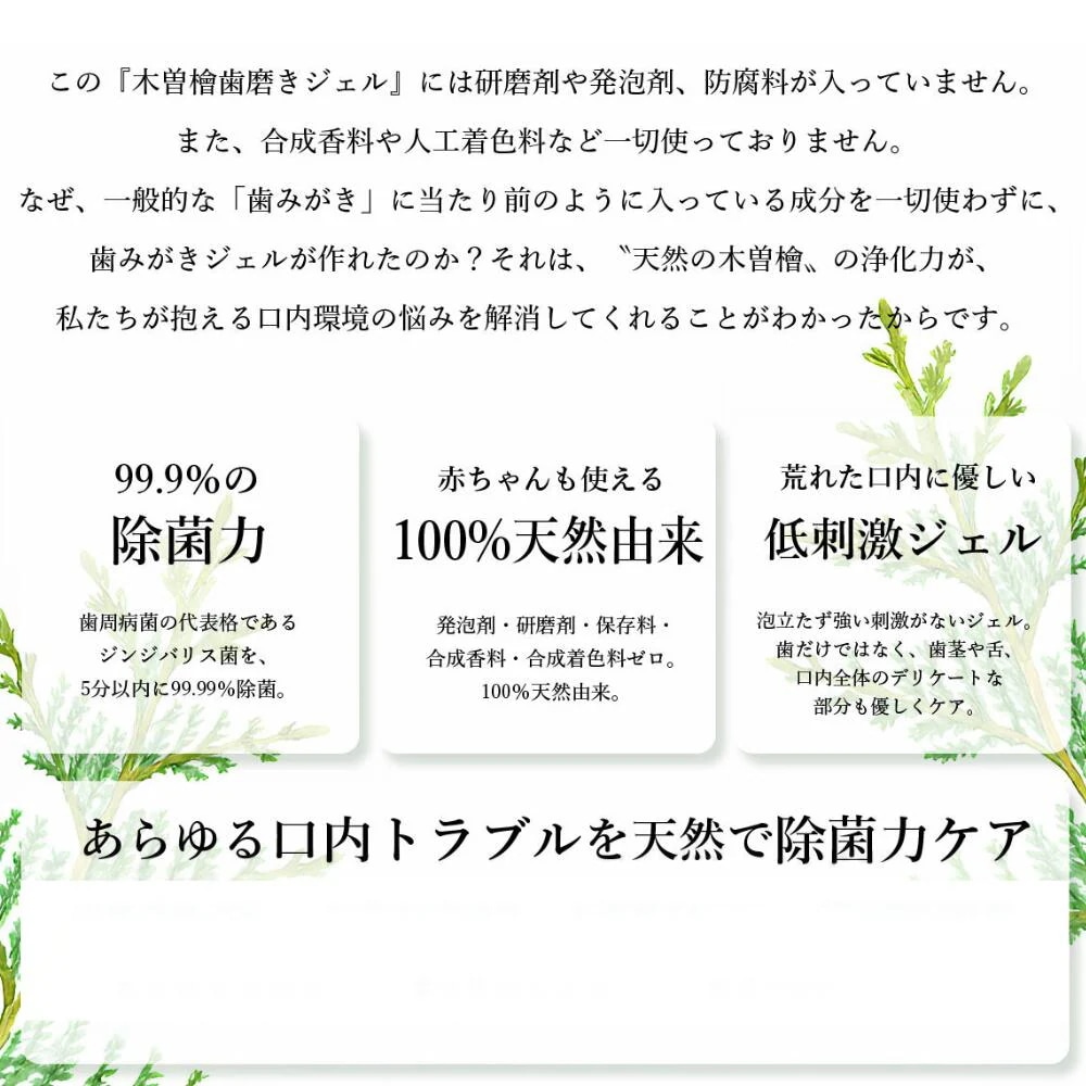 プラスケア正規品 木曽檜歯磨きジェルPREMIUM 80g 木曾檜 ひのき 100%天然由来成分 公式 2本セット プラスケア正規品 木曽檜歯磨きジェルPREMIUM 80g 木曾檜 ひのき 100%天然由来成分 公式 2本セット