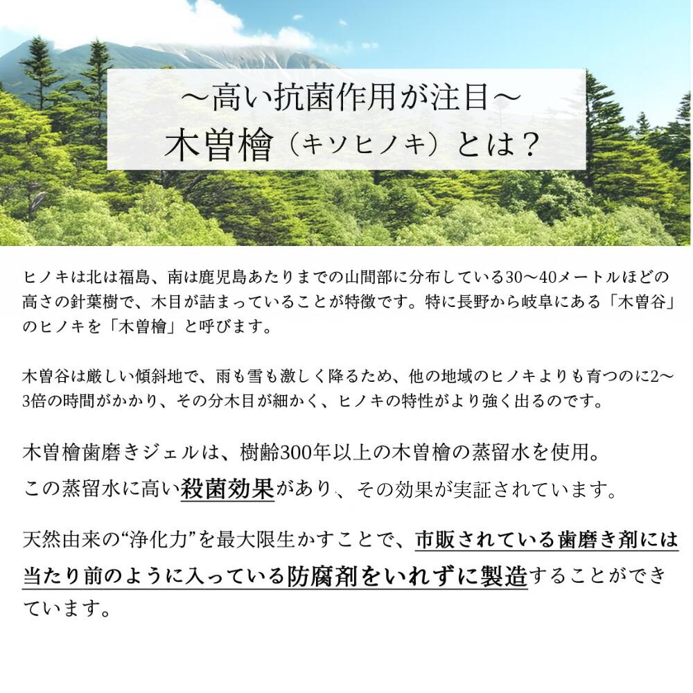 プラスケア正規品 木曽檜歯磨きジェルPREMIUM 80g 木曾檜 ひのき 100%天然由来成分 公式 2本セット プラスケア正規品 木曽檜歯磨きジェルPREMIUM 80g 木曾檜 ひのき 100%天然由来成分 公式 2本セット