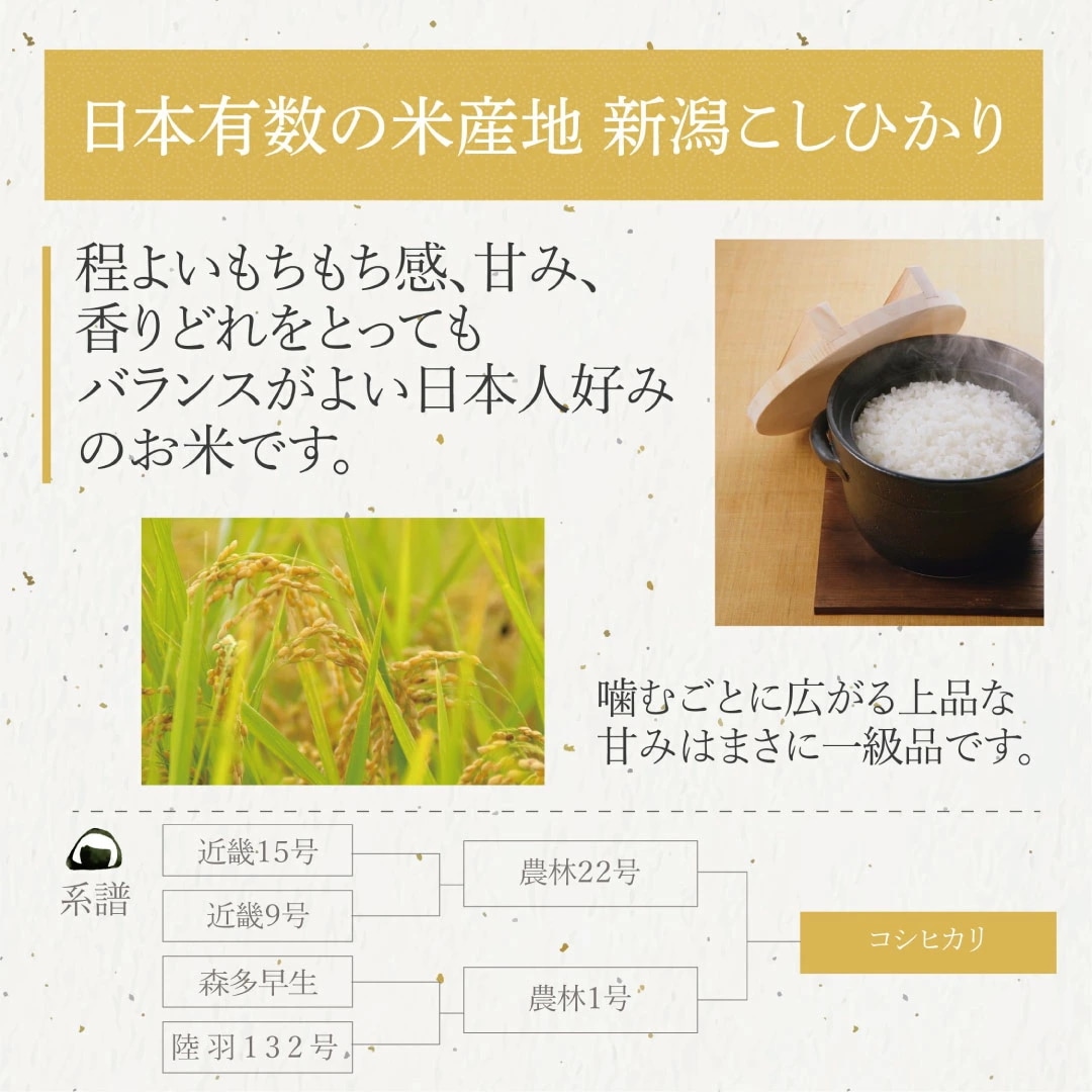 無洗米 米 新潟県産 こしひかり 10kg 5kg 2セット 令和6年産 お米 こめ 10キロ 安い おこめ 白米 国産 食品 ギフト 引っ越し 挨拶 内祝い お歳暮 送料無料 おくさま印