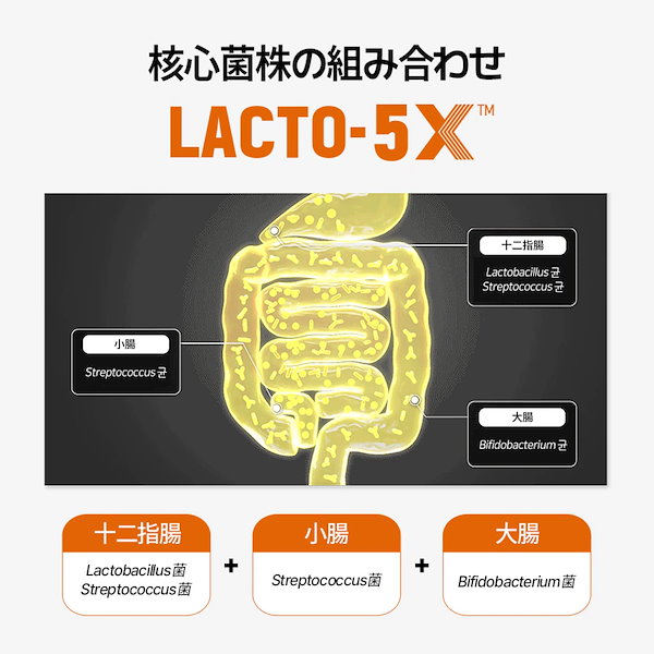 フローラサンティ⭐︎LACT MAX ラクトマックスルミナス乳酸菌定価17280円 フローラサンティ⭐︎LACT MAX ラクトマックスルミナス乳酸菌