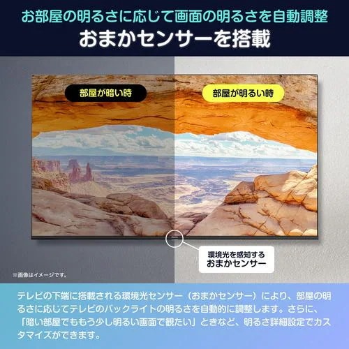 Qoo10] ハイセンス 55G5N 55V型4K液晶