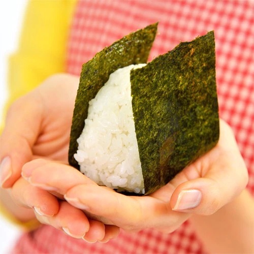 新潟県産 つきあかり 無洗米 10kg 令和６年産 米 １０キロ 新潟米 プレゼント入り　高級米 おいしいお米 美味しいお米 産地直送 農家の米