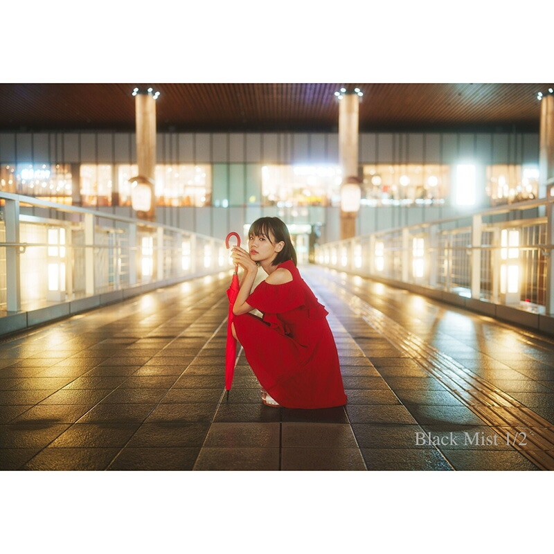 H&Yフィルター Revoring マグネティックブラックミスト for REVORING 58-77mm 1/8 RMB8-77 H&Yフィルター Revoring マグネティックブラックミスト for REVORING 58-77mm 1/8 RMB8-77