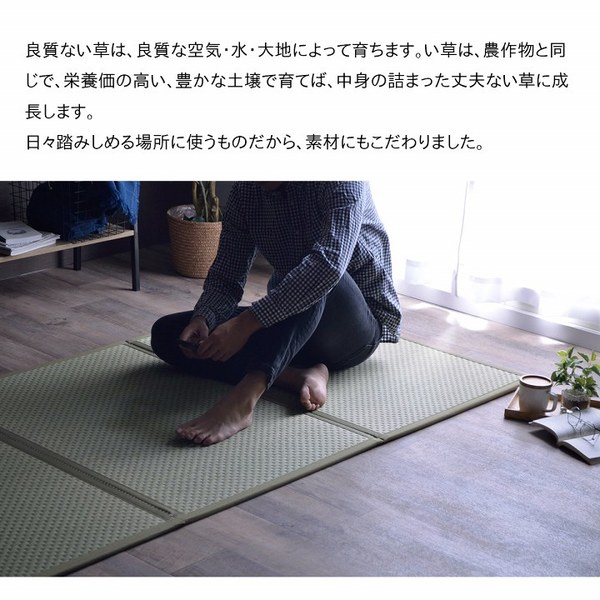 い草 マットレス 3つ折り セミダブル 約120x210cm ブラック 国産 抗菌 防臭 防音