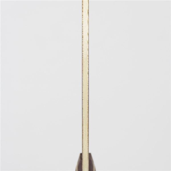 STIGA（スティガ） 中国式ラケット EBENHOLZ NCT 5 PENHOLDER