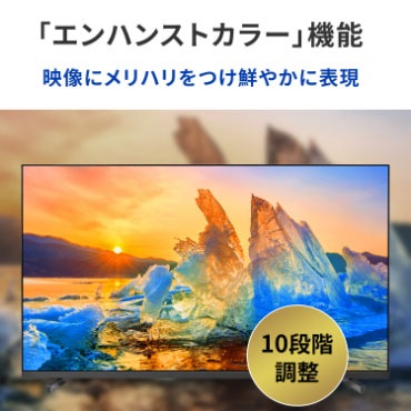 アイ・オー・データ機器I-O DATA 液晶ディスプレイ(50型/VA/4K UHD 3840×2160/60Hz/5ms/HDMI/VESA/3年保証)(ブラック) LCDU501VX