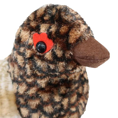 ty 雷鳥ぬいぐるみ　夏毛ヒナ　６きょうだい 雷鳥ぬいぐるみヒナ M タイインク Ty Inc. プレゼント