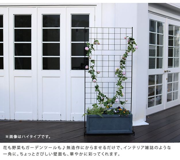 ガーデンフェンス アイアンフェンス プランター台付き ロータイプ 幅89 高さ142cm グラフ グリーンカーテン ガーデンフェンス アイアンフェンス プランター台付き ロータイプ 幅89 高さ142cm グラフ グリーンカーテン