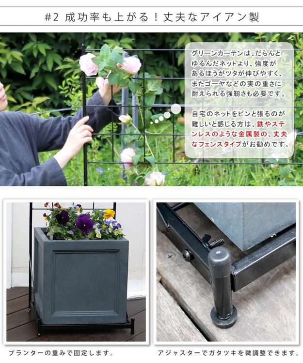 ガーデンフェンス アイアンフェンス プランター台付き ロータイプ 幅89 高さ142cm グラフ グリーンカーテン ガーデンフェンス アイアンフェンス プランター台付き ロータイプ 幅89 高さ142cm グラフ グリーンカーテン