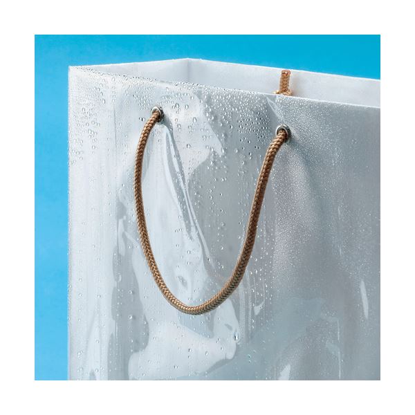 (まとめ) TANOSEE ビニールカバー付手提げ袋 M ヨコ330×タテ440×マチ幅110mm 白無地 1パック(10枚) (×10セット) (まとめ) TANOSEE ビニールカバー付手提げ袋 M ヨコ330×タテ440×マチ幅110mm 白無地 1パック(10枚) (×10セット)
