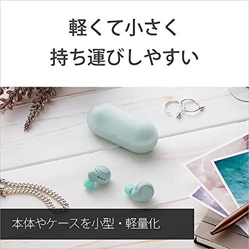 ソニー(SONY) 完全ワイヤレスイヤホン WF-C500 : /軽量小型5.4