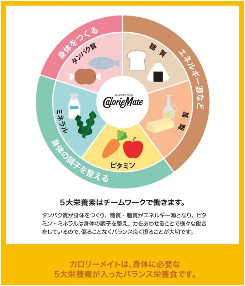 【送料無料】大塚製薬 カロリーメイト リキッド ヨーグルト味 200ml2ケース/60本