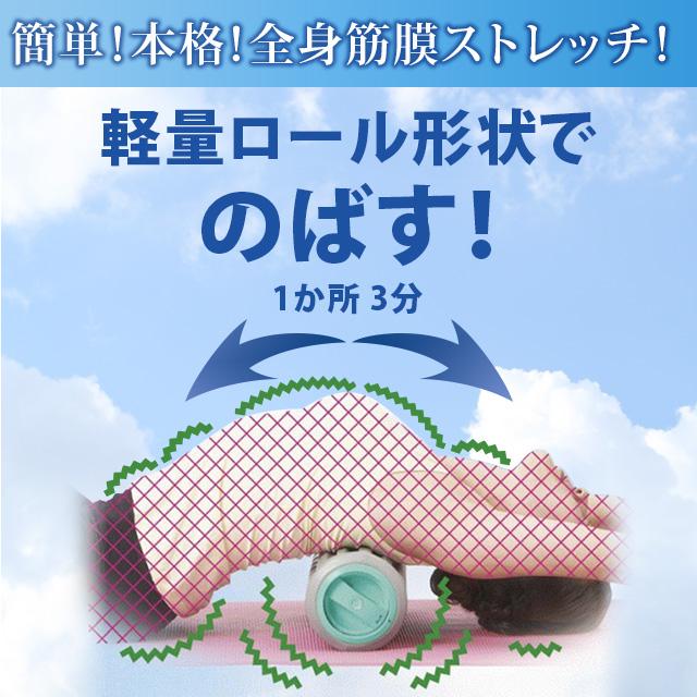 Qoo10] EBiS化粧品 80%OFF 電動スリムウェーブ2 ヨガ