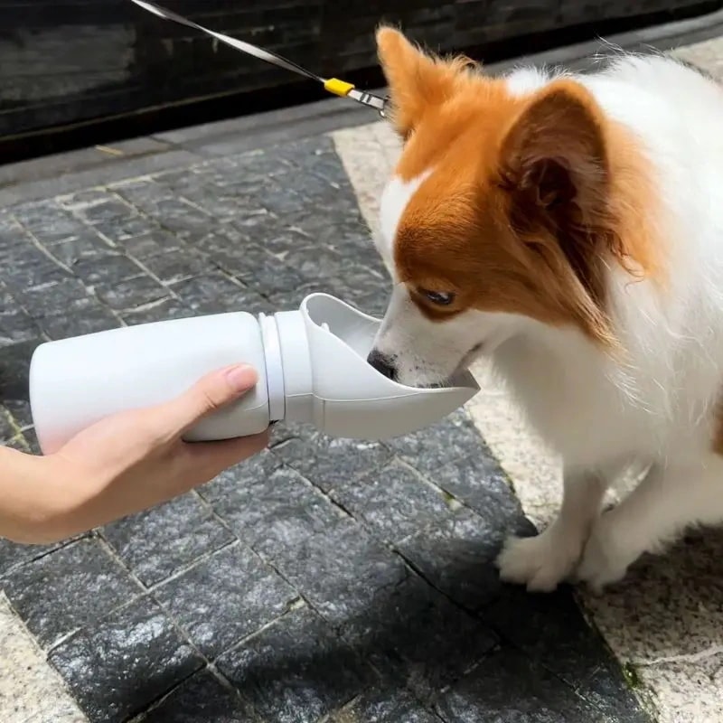 ペット用折りたたみ式ウォーターボトル 屋外ウォーキングマグ 旅行用カップ 水ディスペンサー 子犬と猫用の用品 550ml