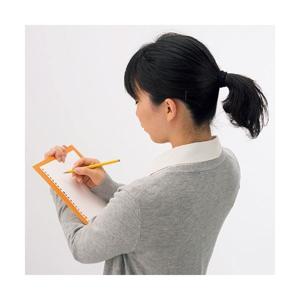 (まとめ)ライオン事務器ダブルポケットホ... : 文具 安い新品