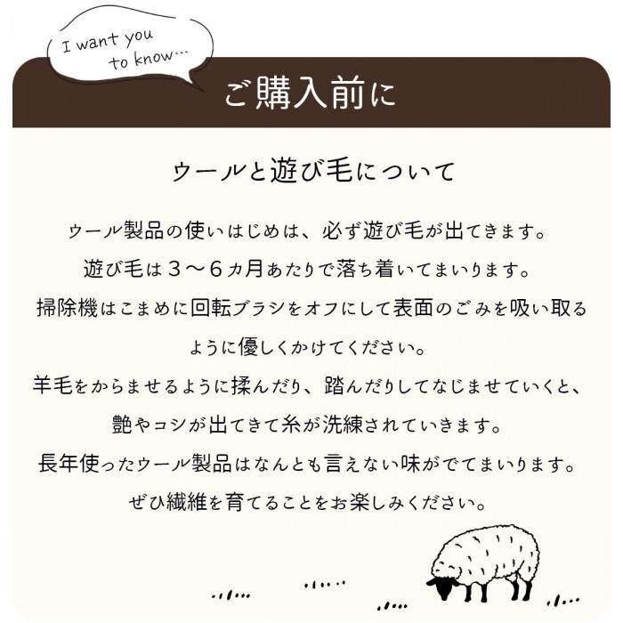 シンプルギャッベマット AYAKA(アヤカ) 玄関マット 70×120cm ブラウン「GSCD802985」 シンプルギャッベマット AYAKA(アヤカ) 玄関マット 70×120cm ブラウン「GSCD802985」