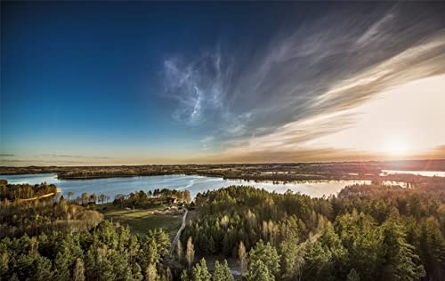 Honey & Honey(ハニー&ハニー) リンデン「生」はちみつ 500g Honey & Honey(ハニー&ハニー) リンデン「生」はちみつ 500g